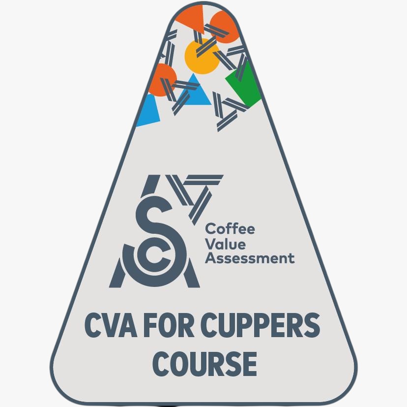 A coffee professional grading beans using an official scoresheet during the CVA - SCA certification program